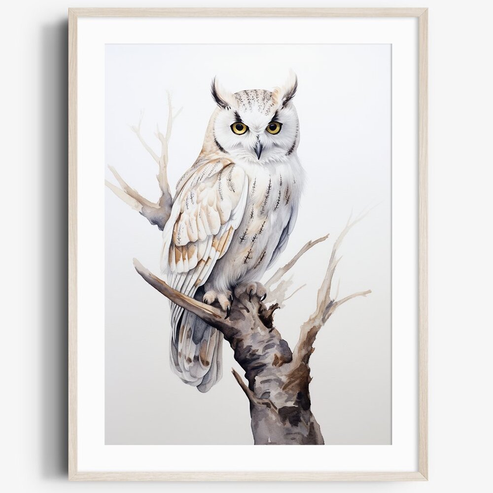Watercolor White Owl Portrait Wall Art Illustration Print Poster Unframed